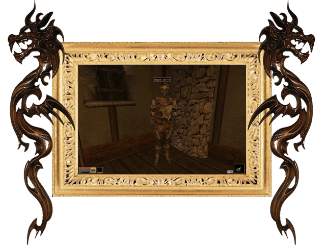 Morrowind - New 30 Quests. Second NPC